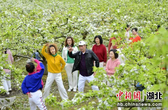 4月9日，游客在宣恩县椒园镇黄坪村游玩 宋文 摄