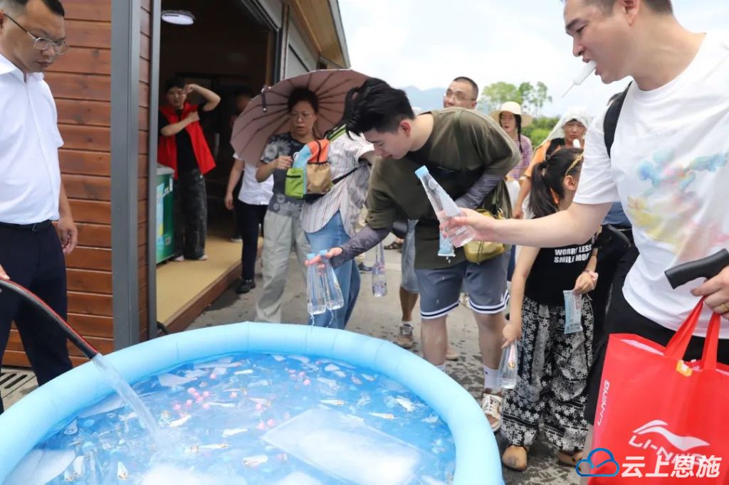 IMG_4263.jpeg IMG_4263.jpeg